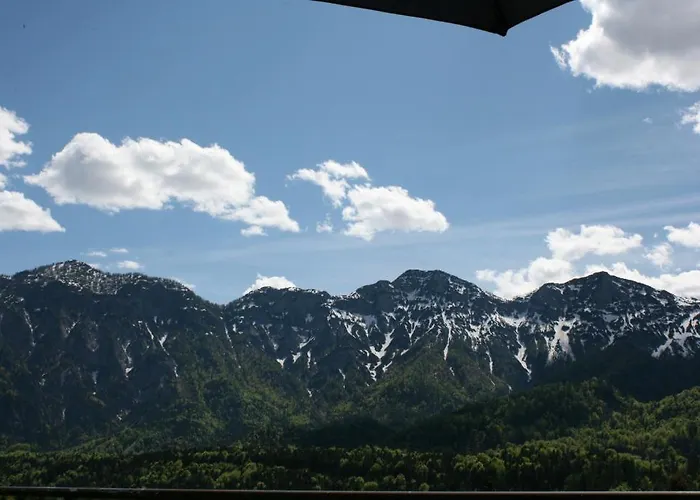 リンドヴルム ホテル バート・ゴイーザーン