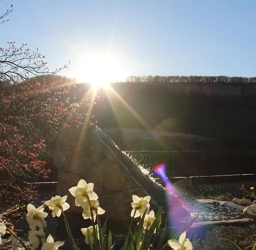 ホテル リンドヴルム バート・ゴイーザーン